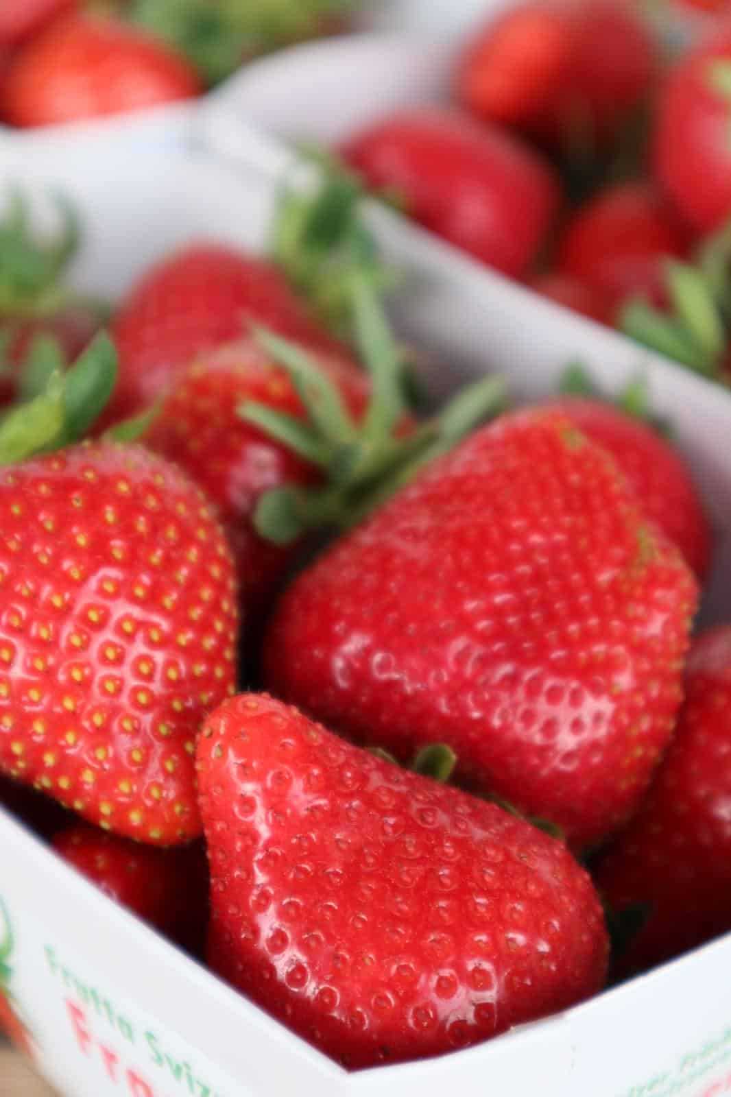Fraises du Domaine Hurni-Fiechter à Worben (BE)