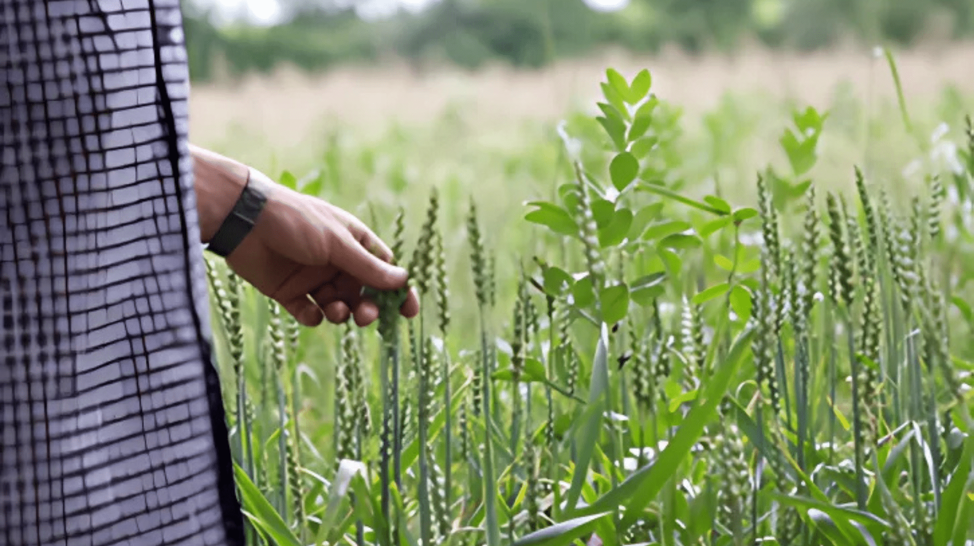 Proximité avec nos partenaires agricoles